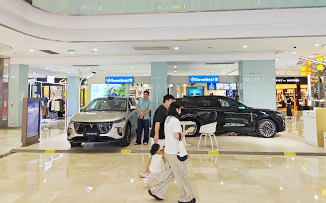 岚图汽车  X  东莞星河城